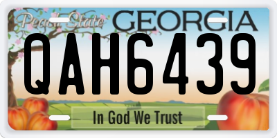 GA license plate QAH6439