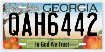 GA license plate QAH6442