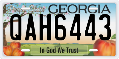GA license plate QAH6443