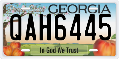 GA license plate QAH6445
