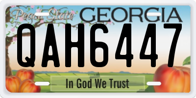 GA license plate QAH6447