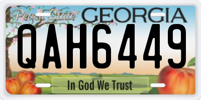 GA license plate QAH6449