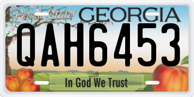 GA license plate QAH6453