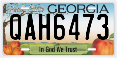 GA license plate QAH6473