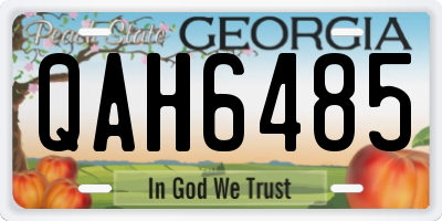 GA license plate QAH6485