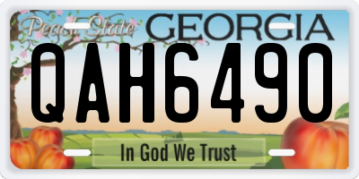 GA license plate QAH6490
