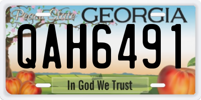 GA license plate QAH6491