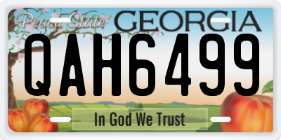 GA license plate QAH6499