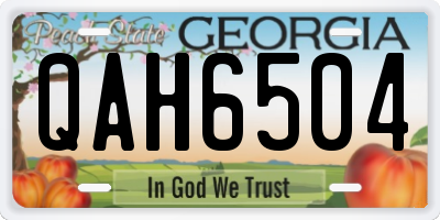 GA license plate QAH6504