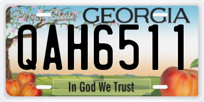 GA license plate QAH6511