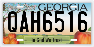 GA license plate QAH6516
