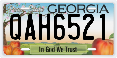 GA license plate QAH6521