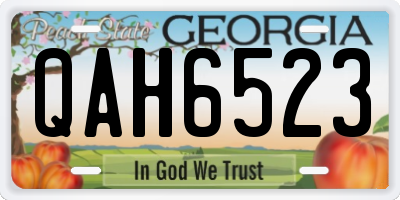 GA license plate QAH6523