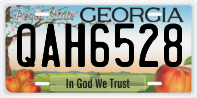 GA license plate QAH6528