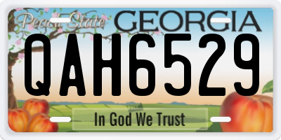 GA license plate QAH6529
