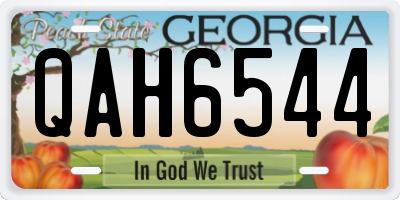 GA license plate QAH6544