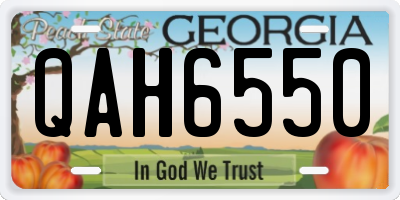 GA license plate QAH6550