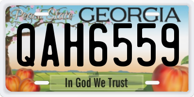 GA license plate QAH6559