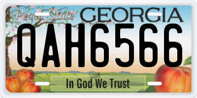 GA license plate QAH6566