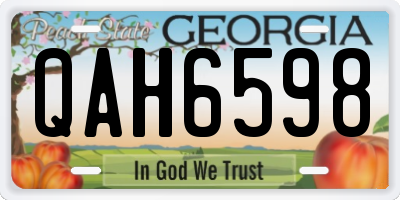 GA license plate QAH6598
