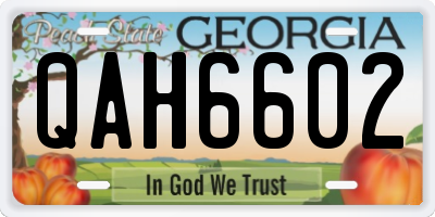 GA license plate QAH6602