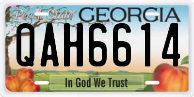 GA license plate QAH6614