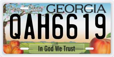 GA license plate QAH6619