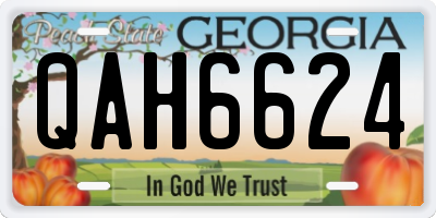 GA license plate QAH6624