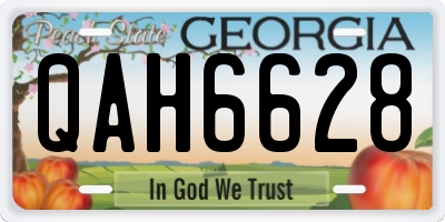 GA license plate QAH6628
