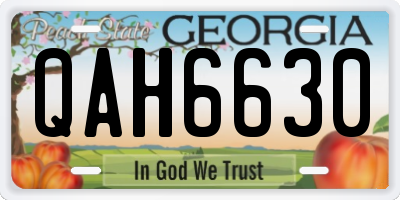 GA license plate QAH6630