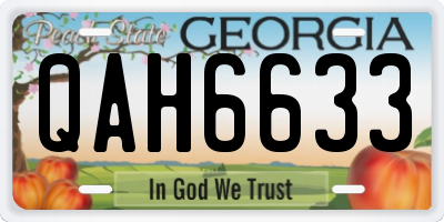 GA license plate QAH6633