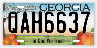 GA license plate QAH6637