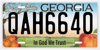 GA license plate QAH6640