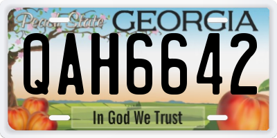GA license plate QAH6642
