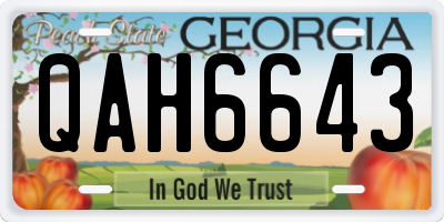 GA license plate QAH6643