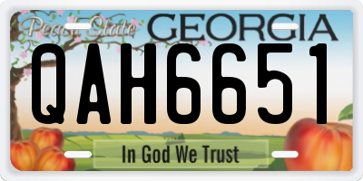 GA license plate QAH6651