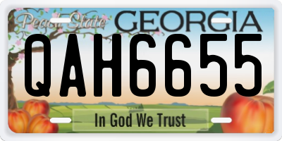 GA license plate QAH6655