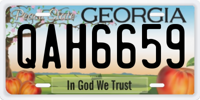 GA license plate QAH6659