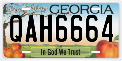 GA license plate QAH6664