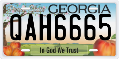 GA license plate QAH6665