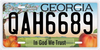 GA license plate QAH6689