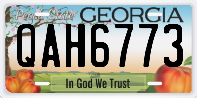 GA license plate QAH6773