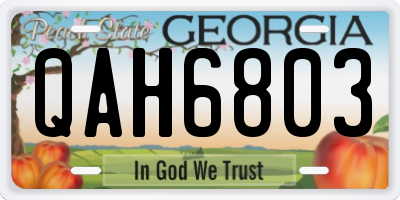 GA license plate QAH6803