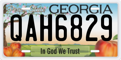 GA license plate QAH6829