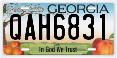 GA license plate QAH6831