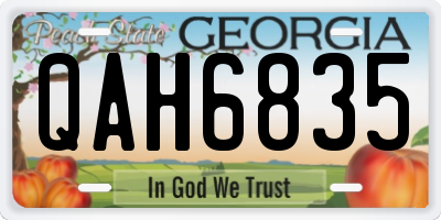 GA license plate QAH6835