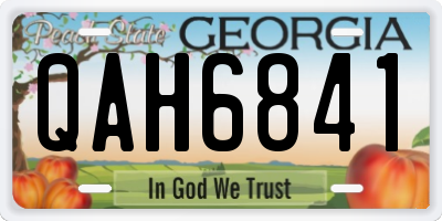 GA license plate QAH6841