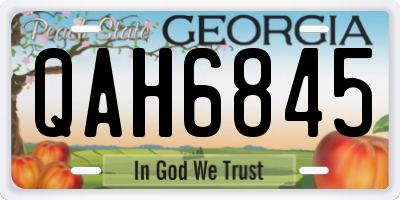 GA license plate QAH6845