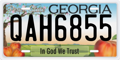 GA license plate QAH6855