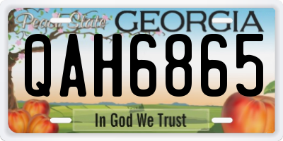 GA license plate QAH6865